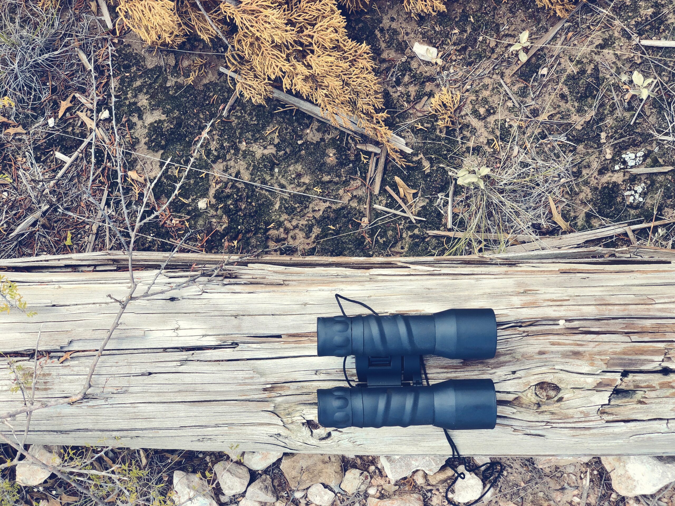 What Are Some Signs Of A Defective Prism System In Birding Binoculars?