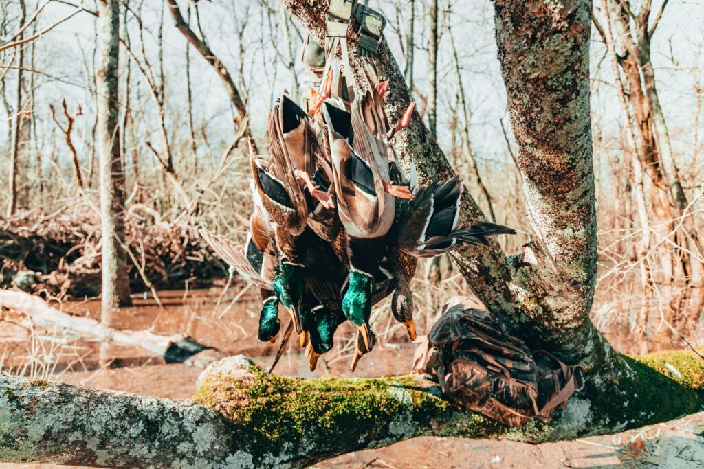 What Is The Best Spotting Scope For Long range Shooting what-is-the-best-spotting-scope-for-long-range-shooting