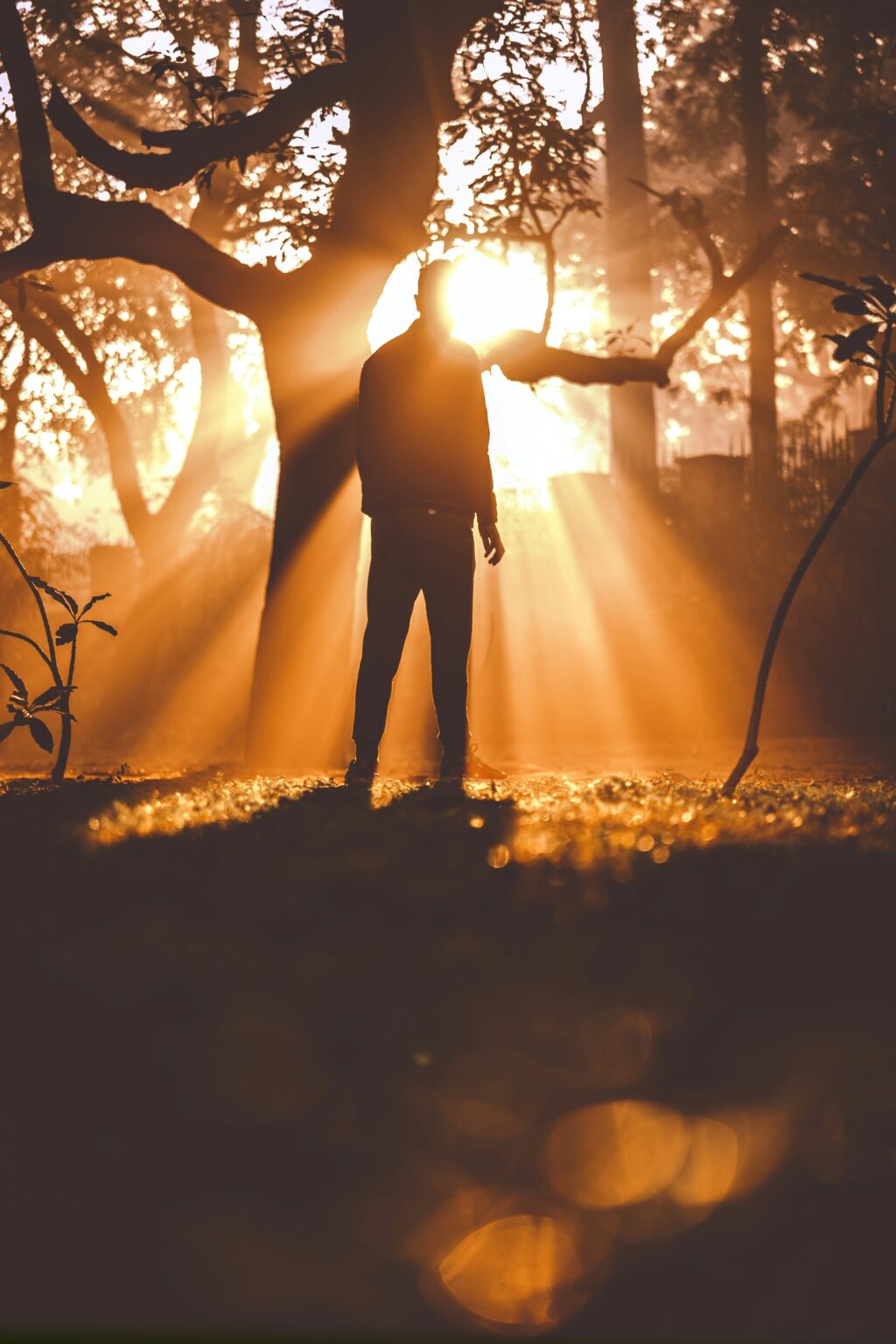 Can Hunting Optics Be Used In Low Light Conditions? - BinocularsProShop.com