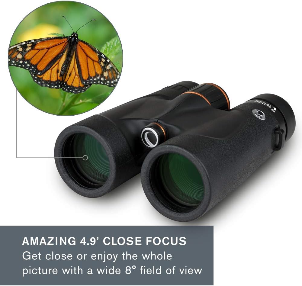 Celestron – Regal ED 10×42 Binocular Review