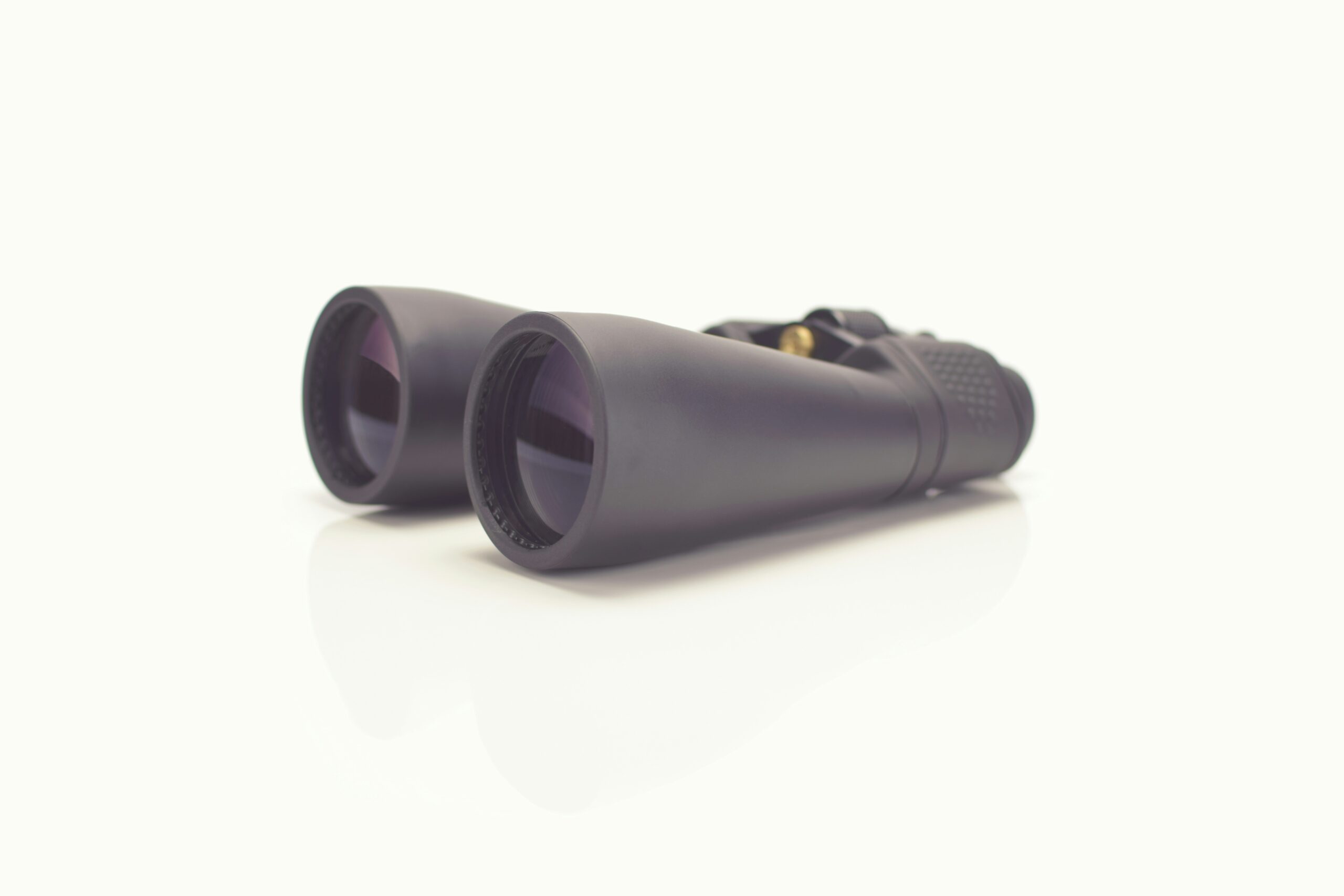 What Is The Difference Between Prisms In Binoculars?