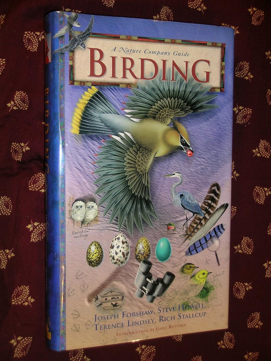 Birding (A Nature Company Guide)      Hardcover – January 1, 1994