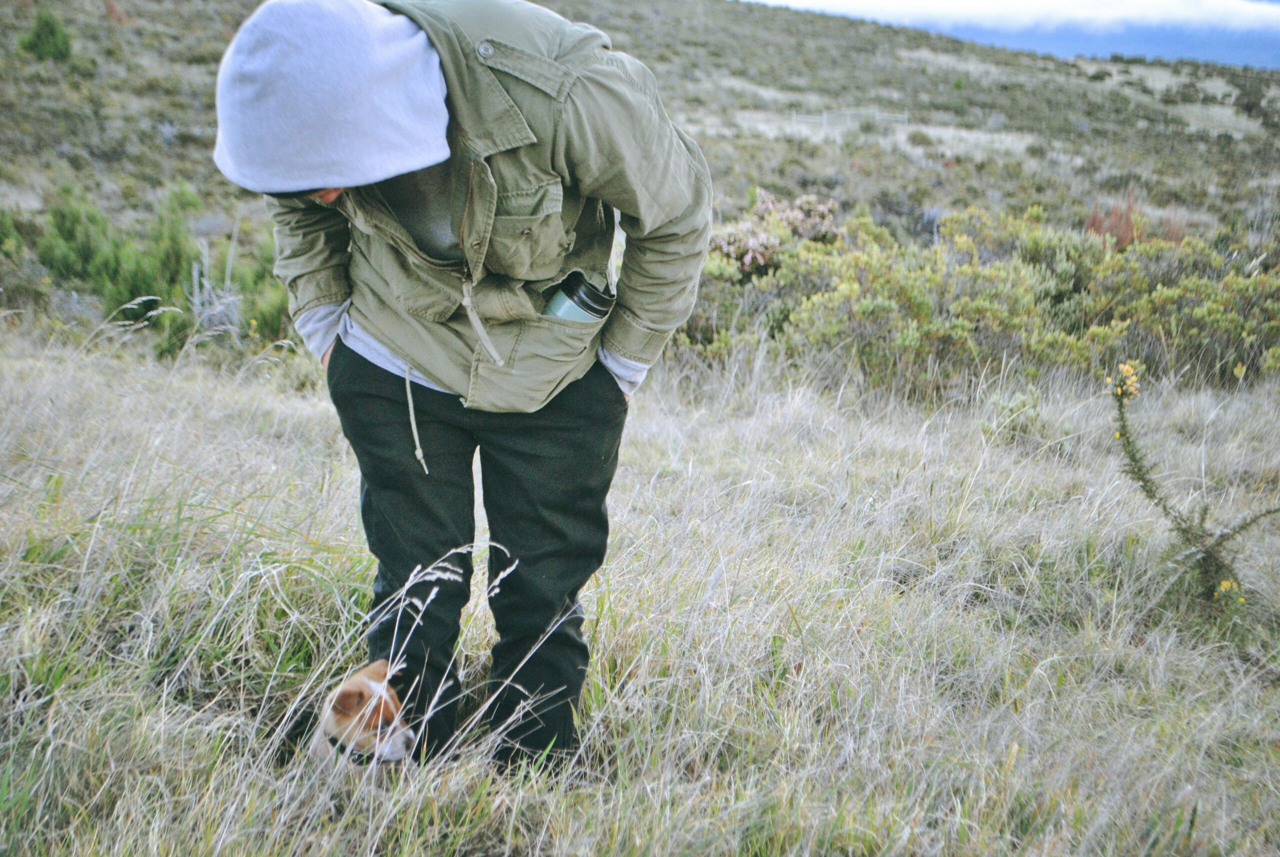 Can A Monocular Be Used For Wildlife Surveys?