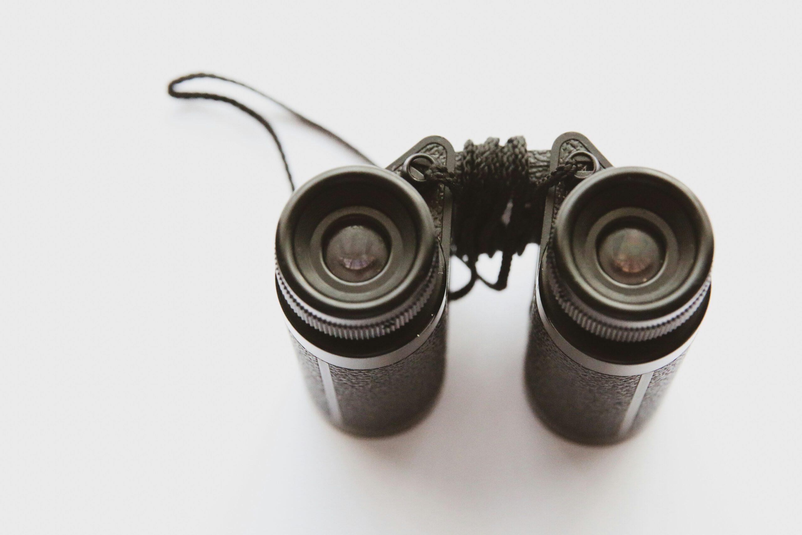 What Is The Field Of View And Why Is It Important For Birding Binoculars?