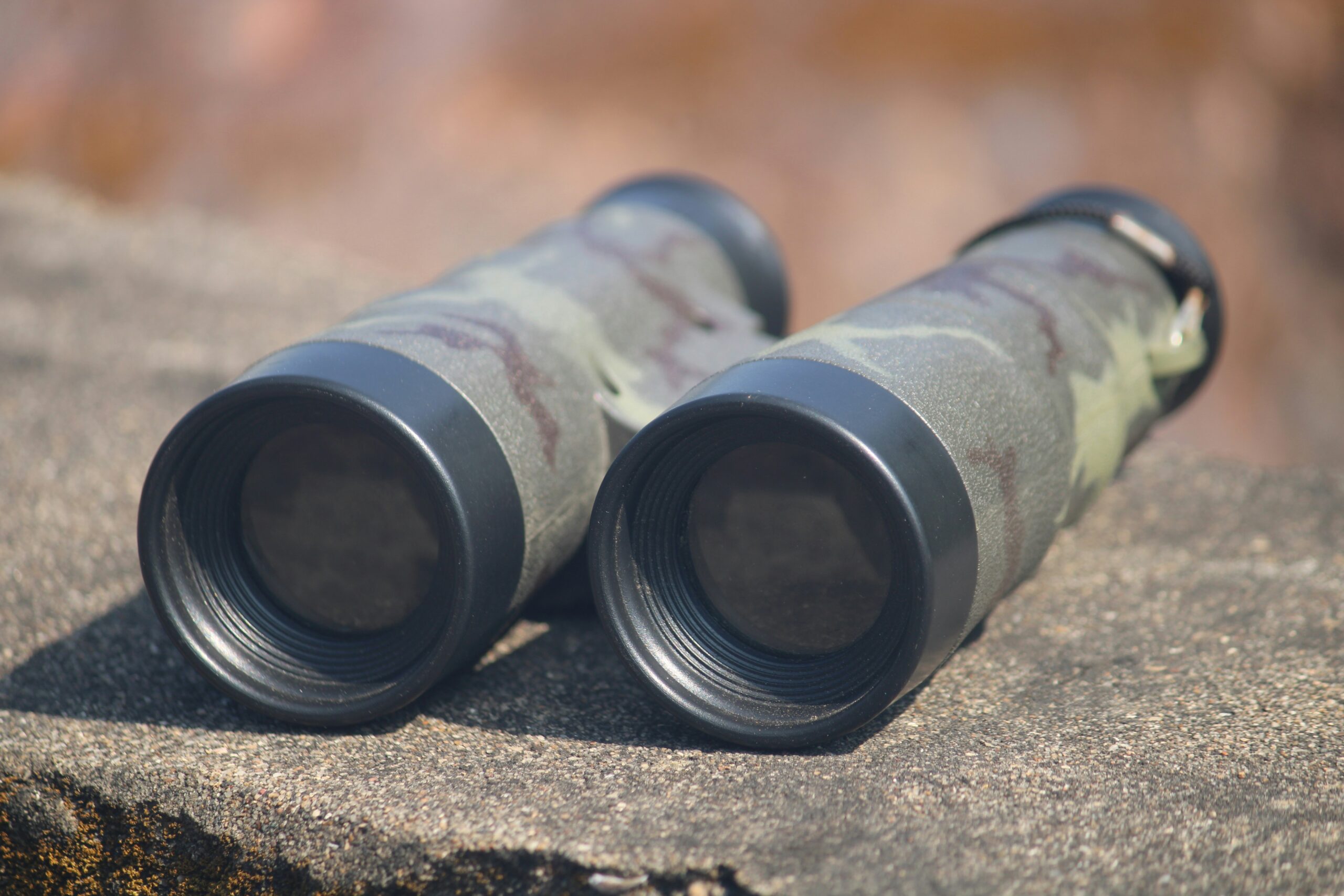 Can I Use A Rangefinder Binocular For Hunting In Dim Light?