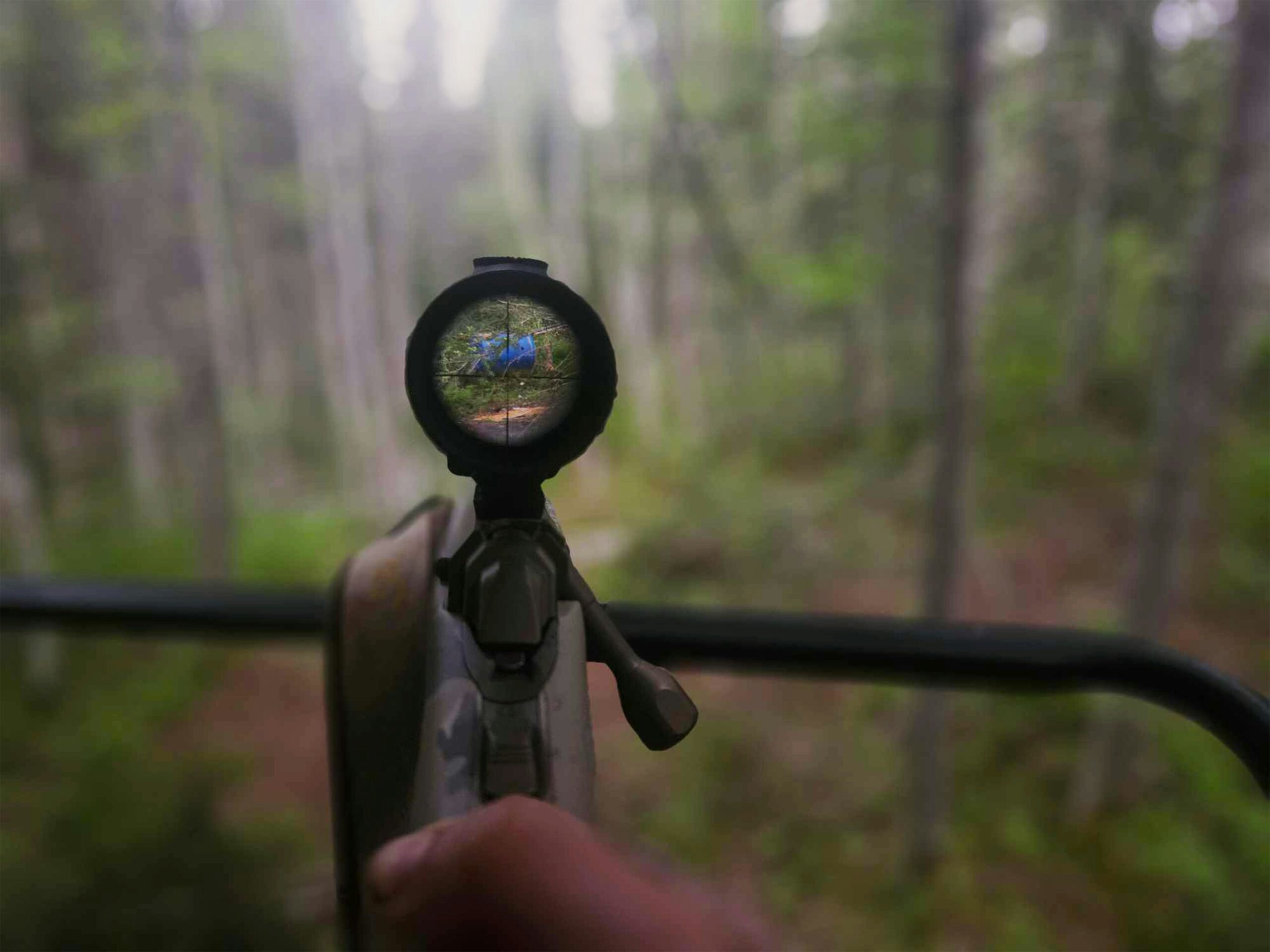 What Are The Most Common Types Of Hunting Optics?