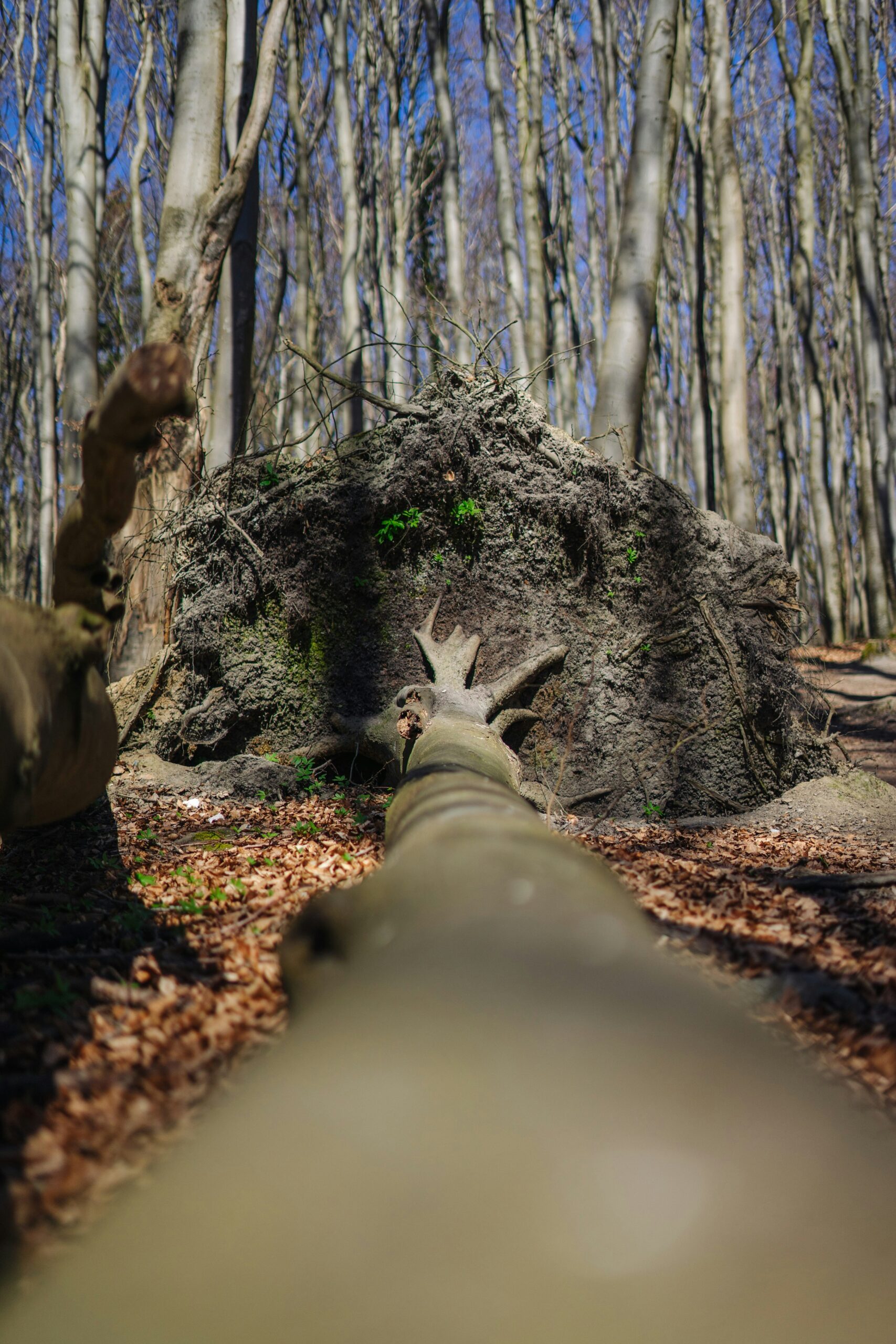 What Are The Most Common Types Of Hunting Optics?