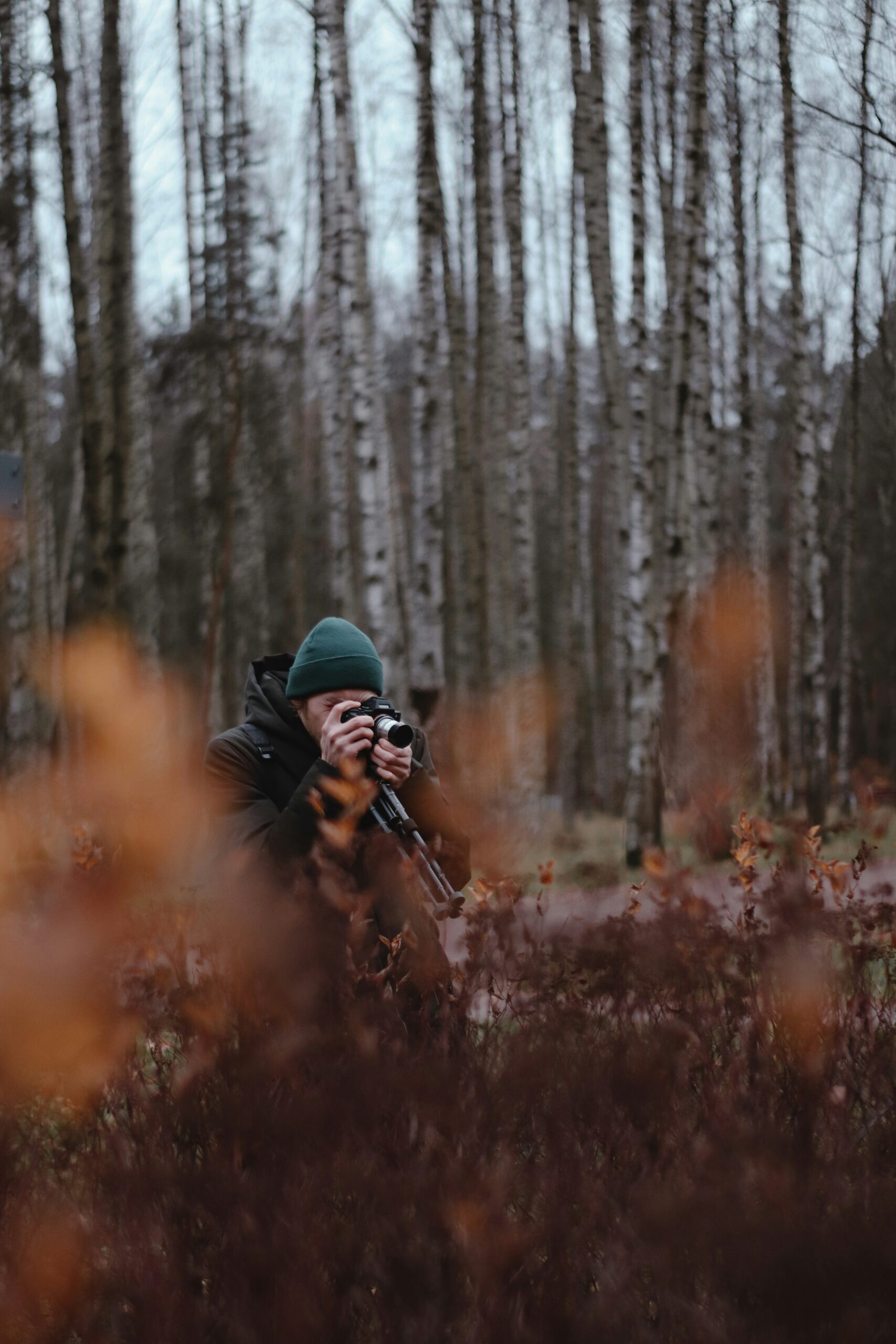 What Kind Of Optics Are Used For Hunting?