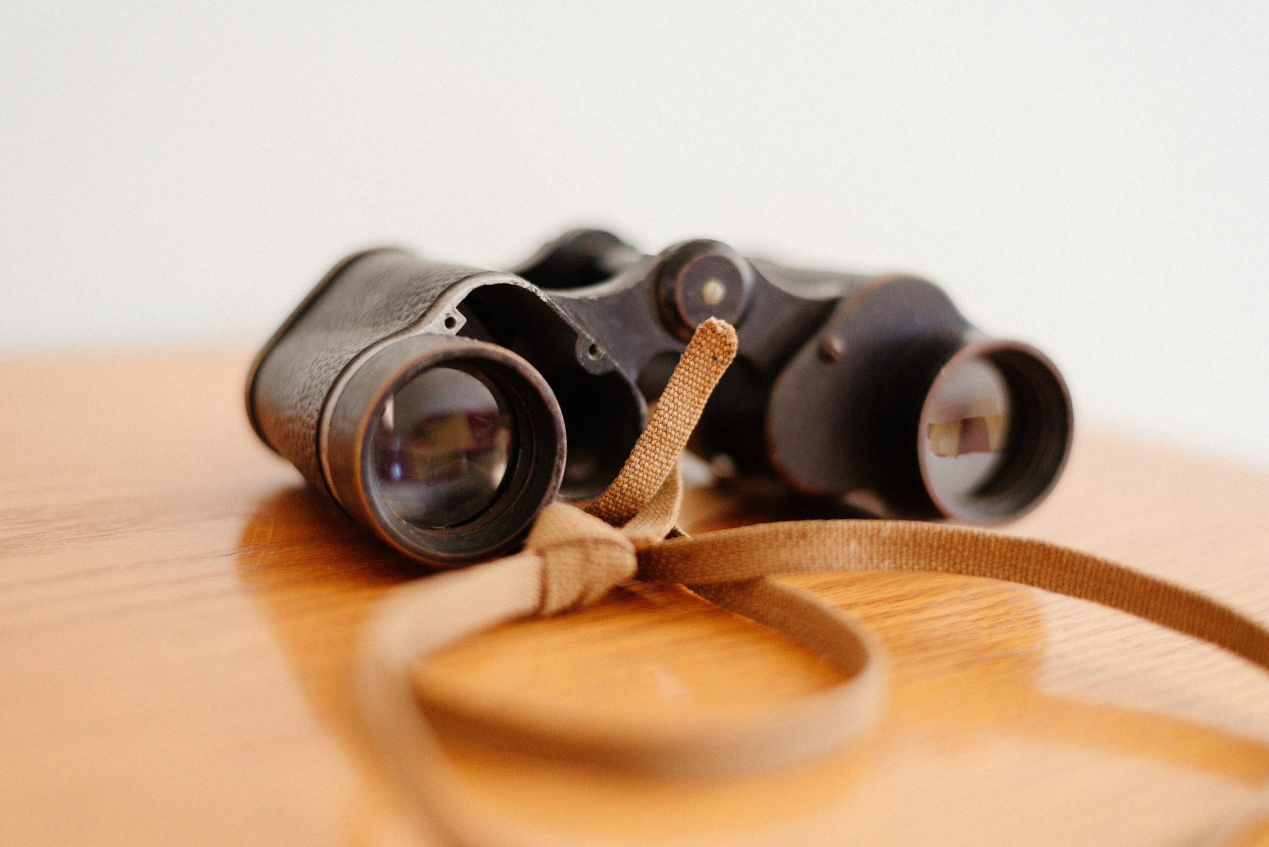 Canon Binoculars 10 x 20 is