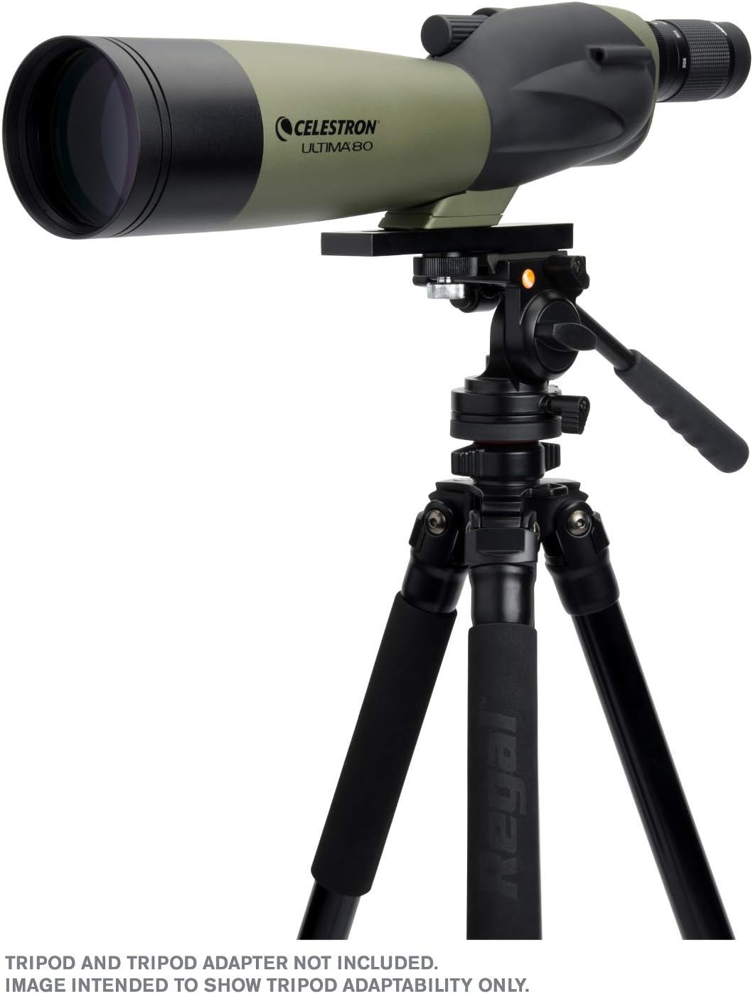Celestron – Ultima 80 Angled Spotting Scope – 20-60x Zoom Eyepiece – Multi-Coated Optics for Bird Watching, Wildlife, Scenery and Hunting – Includes Soft Carrying Case and Smartphone Adapter Celestron – Ultima 80 Angled Spotting Scope – 20-60x Zoom Eyepiece – Multi-Coated Optics for Bird Watching, Wildlife, Scenery and Hunting – Includes Soft Carrying Case and Smartphone Adapter