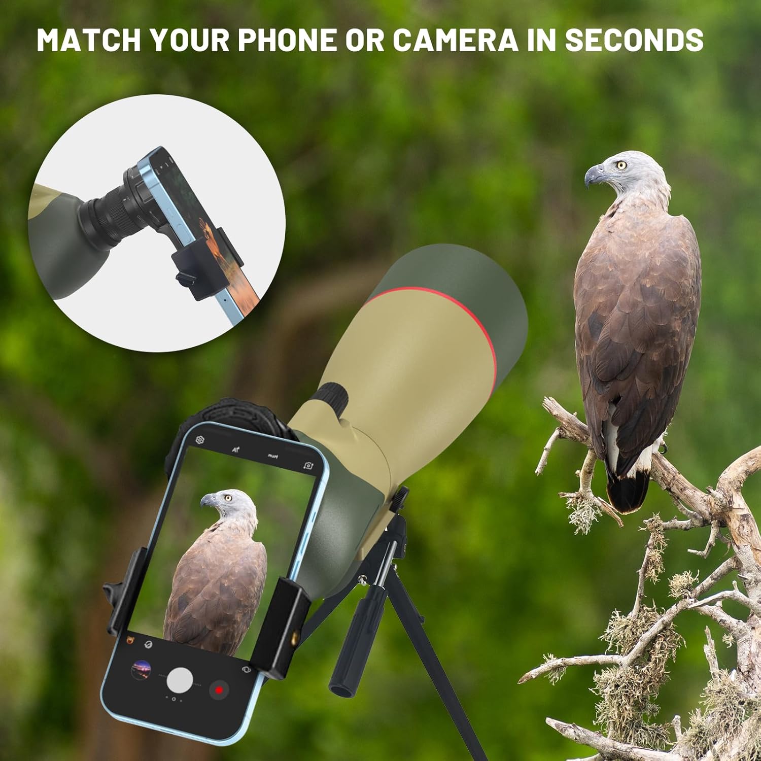 WOSPORTS 25-75x85 Spotting Scopes with Tripod, Carrying Bag, Phone Adapter, HD BAK4 Porro Prism, Waterproof Spotter Scope for Hunting, Target Shooting, Bird Watching, Wildlife Viewing, Dark Green